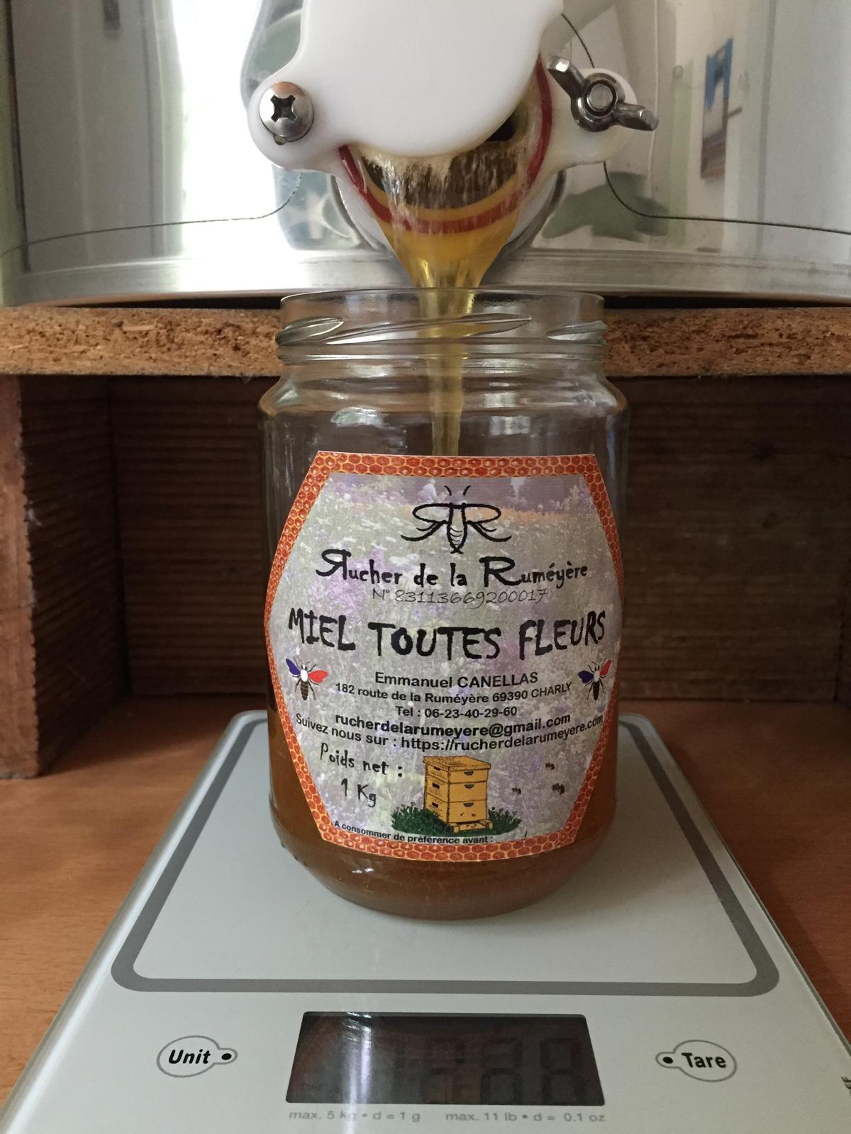 Mise en pot du miel toutes fleurs à la sortie du maturateur
